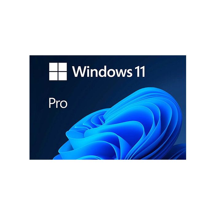 Windows 11 Pro
