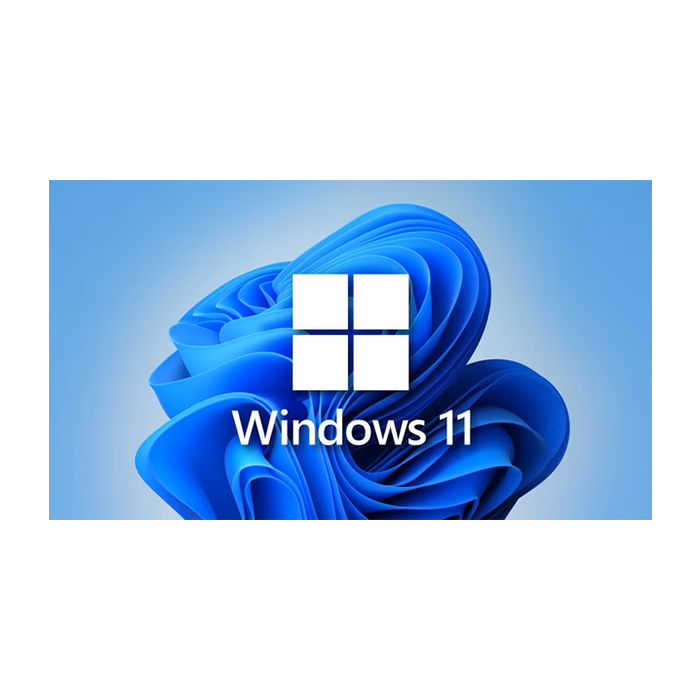 Windows 11 Home