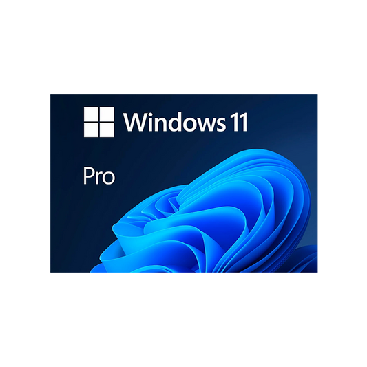 Windows 11 Pro